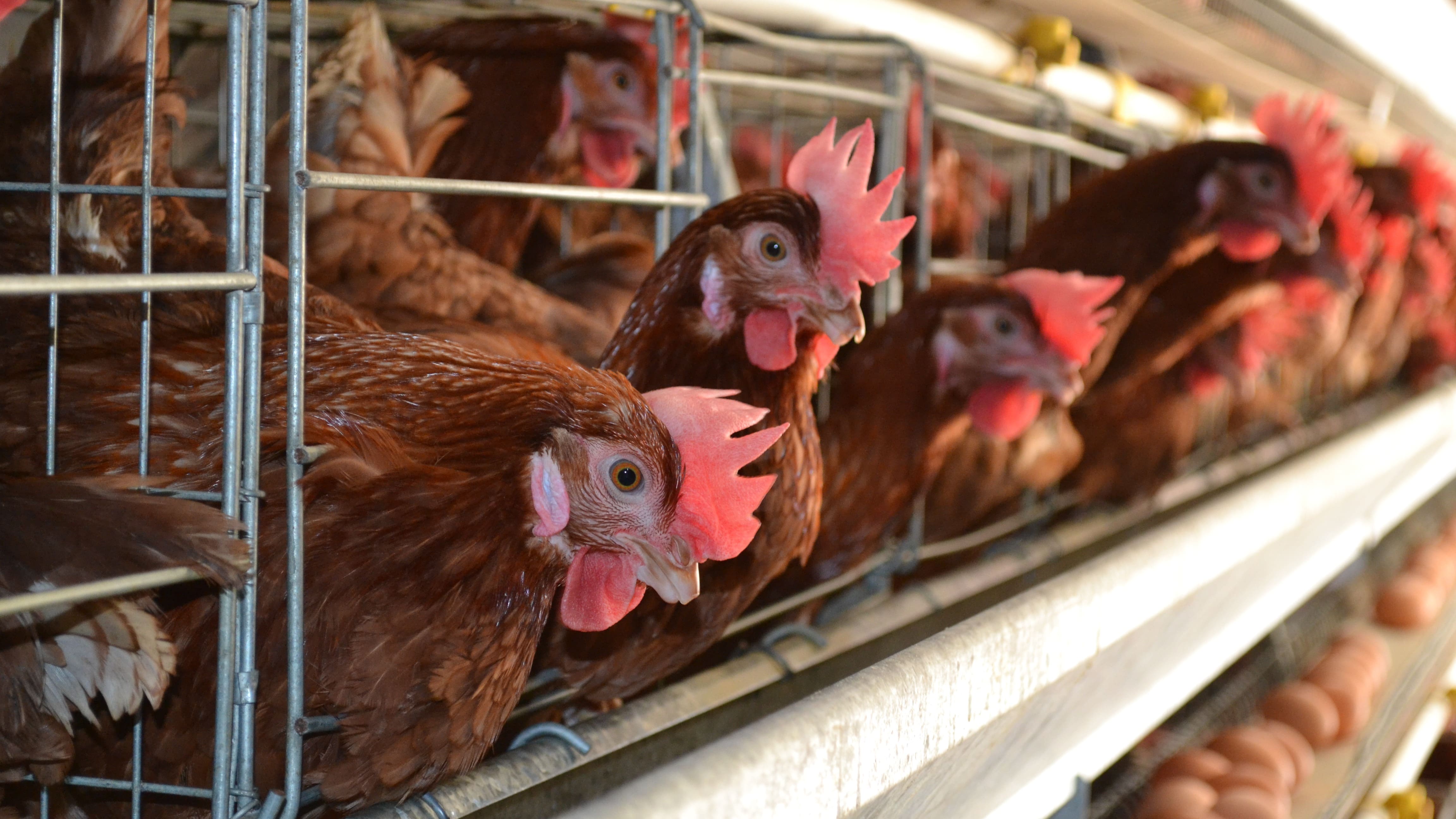 La Era de la Transformación